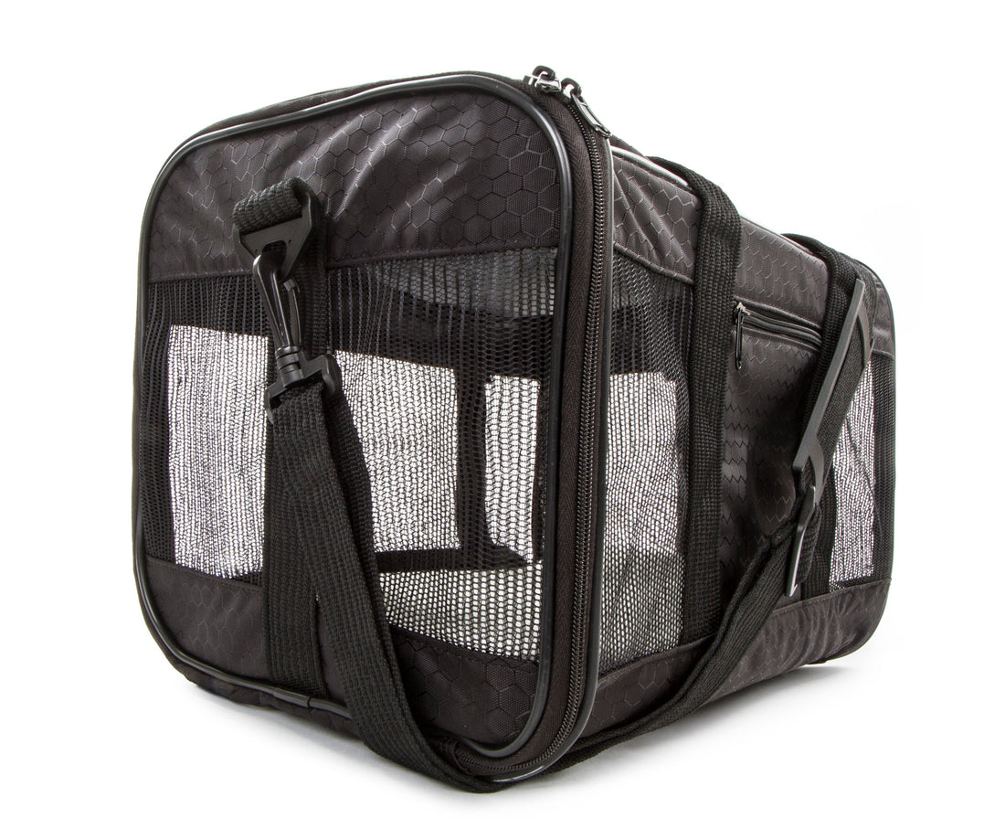 To Go Travel Pet Carrier