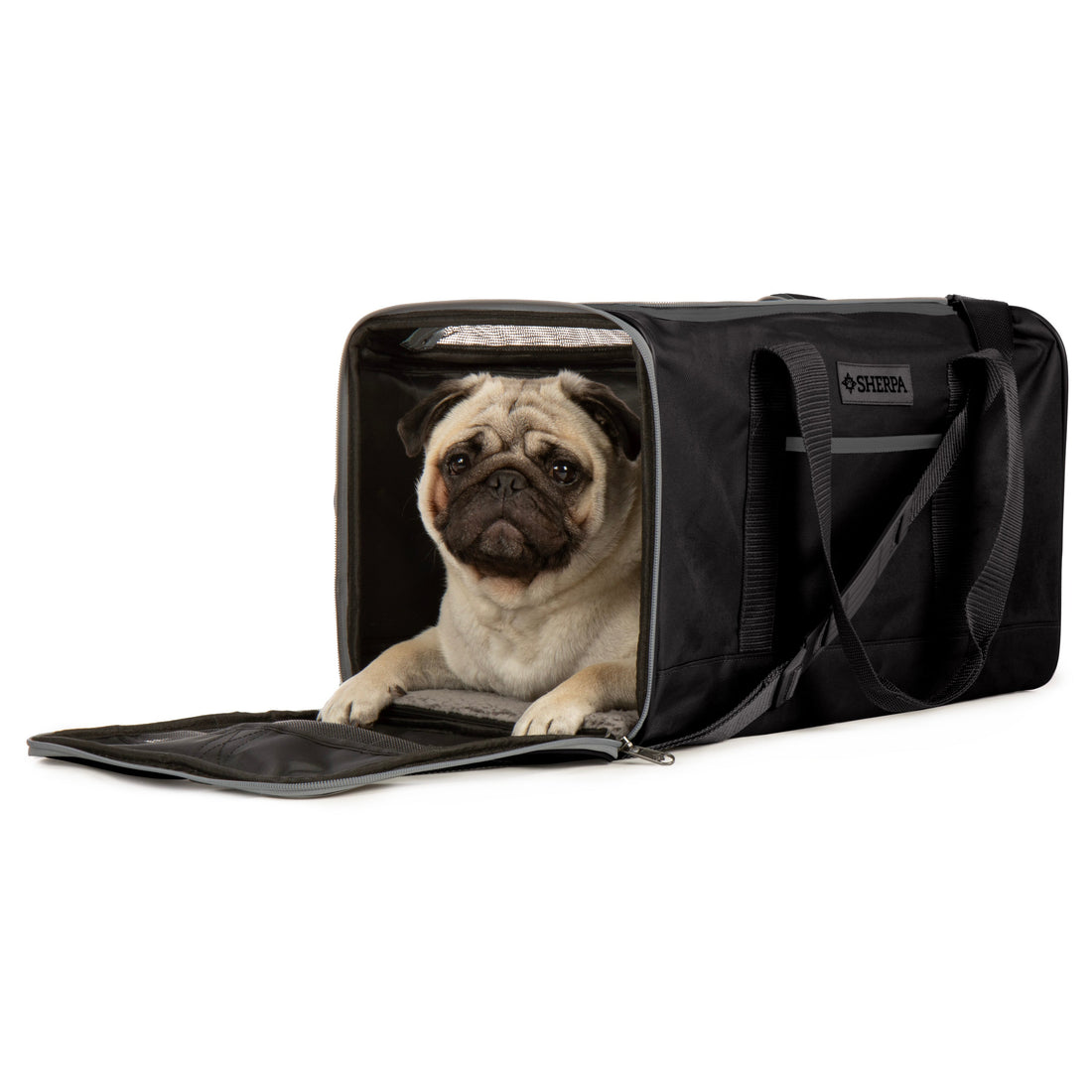 Essential Soft Sided Pet Carrier for Cats & Dogs, Black, Large