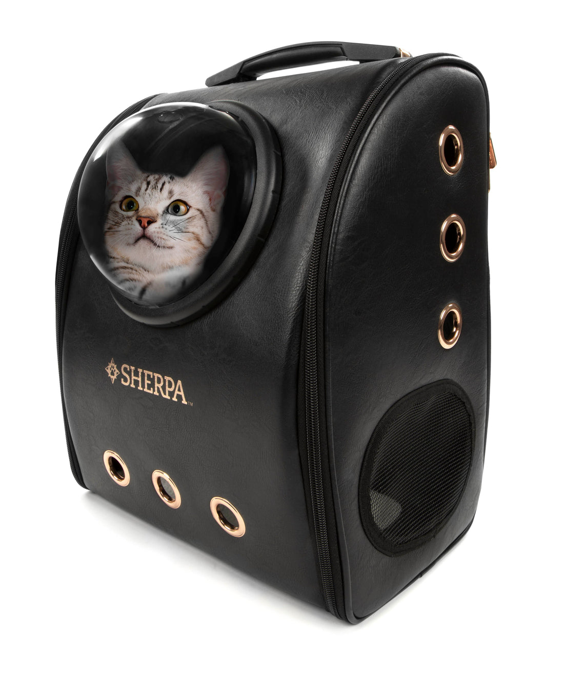 Airline Approved Cat Travel Backpack with Bubble View Window
